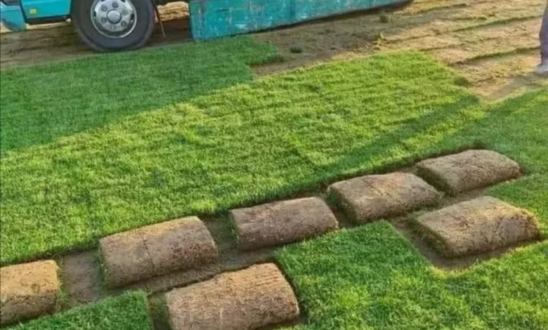 شركة تركيب ثيل طبيعي بالرياض