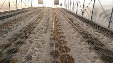 تركيب شبكات ري داخل الرياض