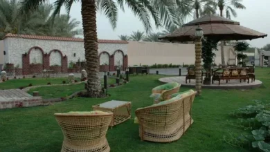 تكلفة تنسيق حدائق في الرياض