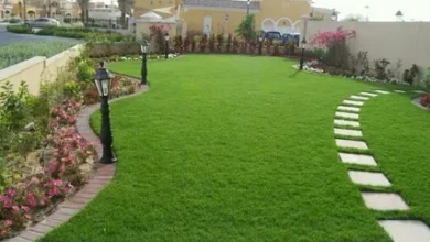 تنسيق الحدائق المنزلية الرياض