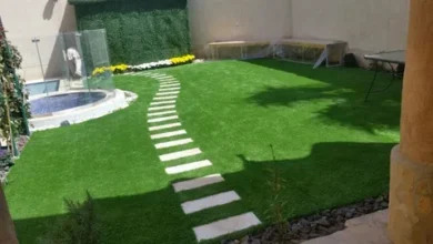 تنسيق حدائق منزلية الرياض