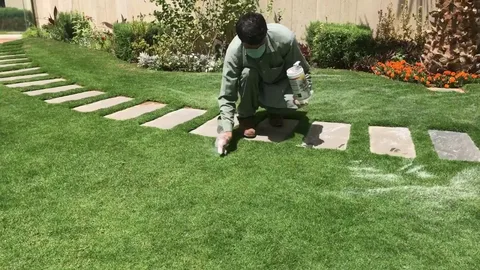 تنسيق حدائق منزلية في الرياض