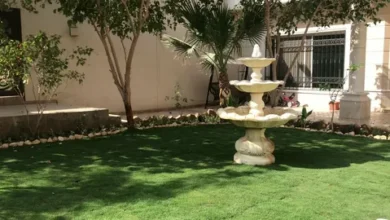 عامل تنسيق حدائق بالرياض