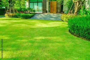 صيانة حدائق بالرياض