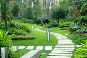 صيانة حدائق في الرياض